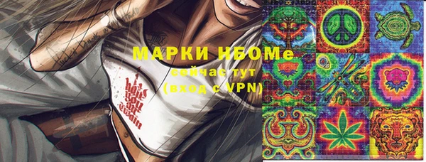 шишки Арсеньев