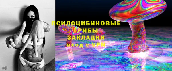 ПСИЛОЦИБИНОВЫЕ ГРИБЫ Армянск