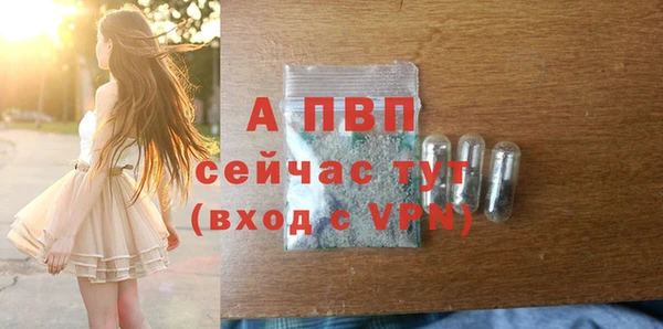 шишки Арсеньев