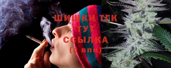 шишки Арсеньев