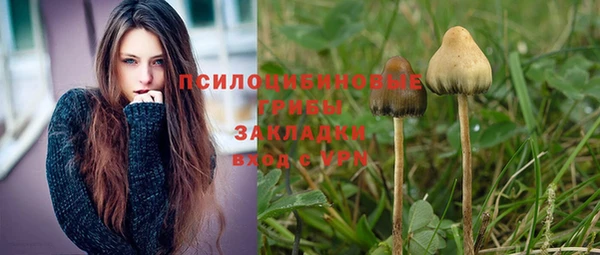 ПСИЛОЦИБИНОВЫЕ ГРИБЫ Армянск