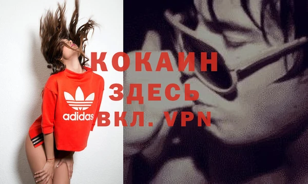 шишки Арсеньев