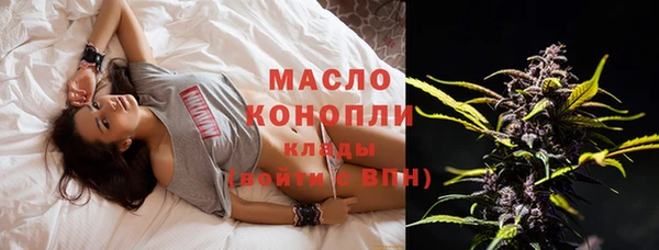 шишки Арсеньев