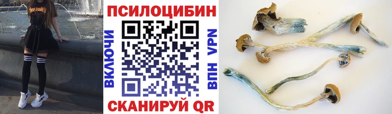 MEGA сайт  Порхов  Галлюциногенные грибы мицелий 